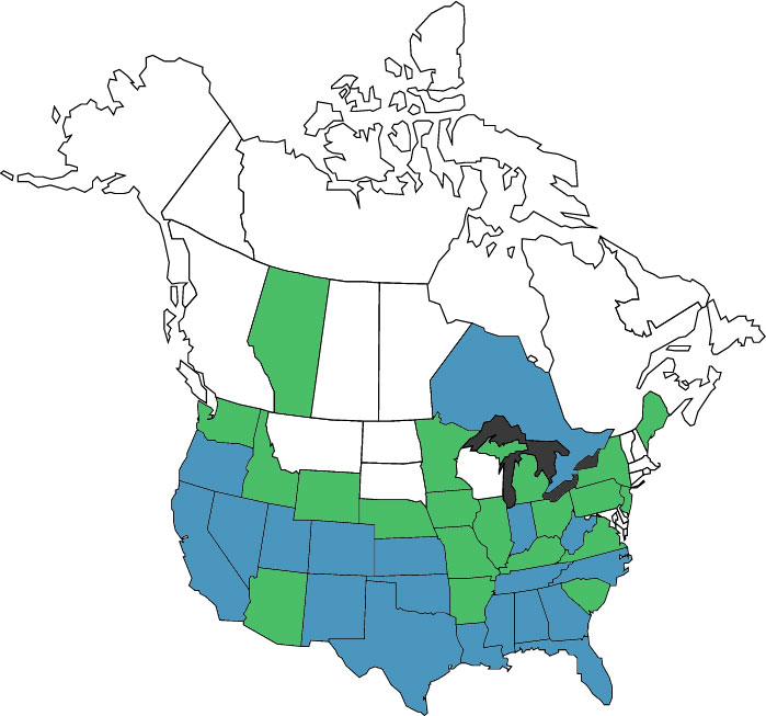 license-map-day3