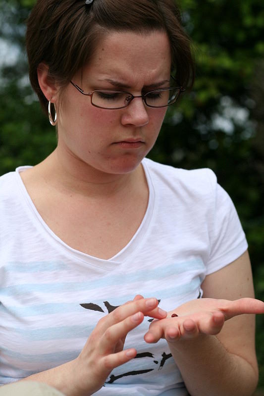 Anna is puzzled by the ladybug