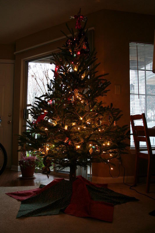 Now all I need are some presents under my tree!