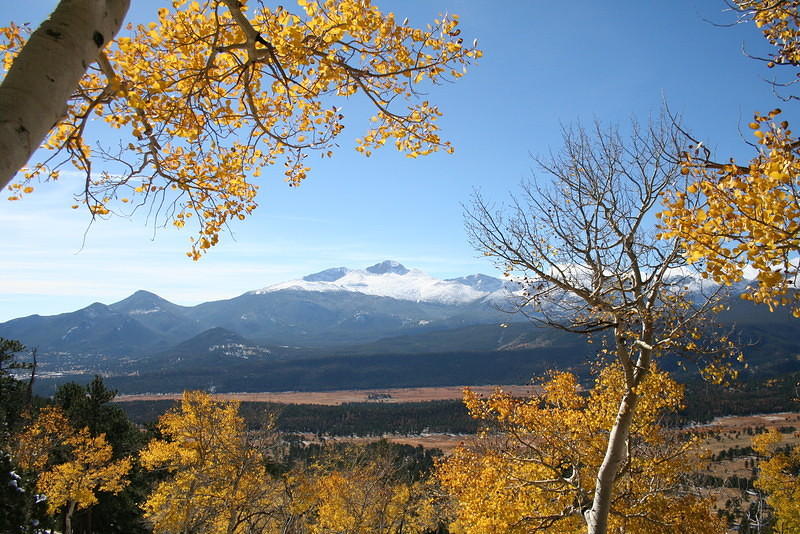 Aspens and mountains