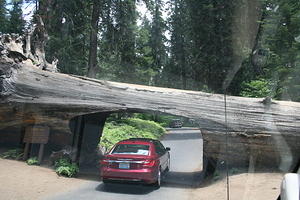 Tunnel Log