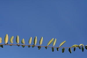 IMG 6824