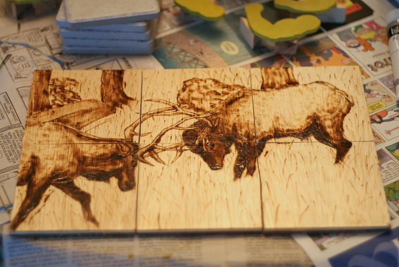 Elk Coasters